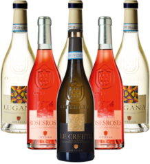 Ottella Lugana Probierpaket Gardasee Italien 6er Angebot