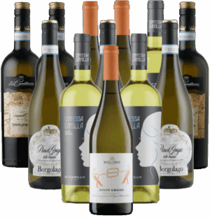 Pinot Grigio Probierpaket Weißweine aus Italien 12er Angebot