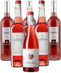 Premium Rosés - Rosados aus Spanien 12er Angebot