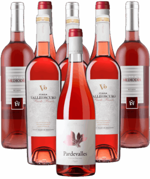 Premium Rosados Probierpaket - Rosés aus Spanien 9er Angebot