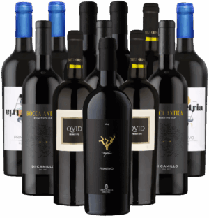 Primitivo Rotwein Probierpaket Salento di Puglia 12er Angebot Italien