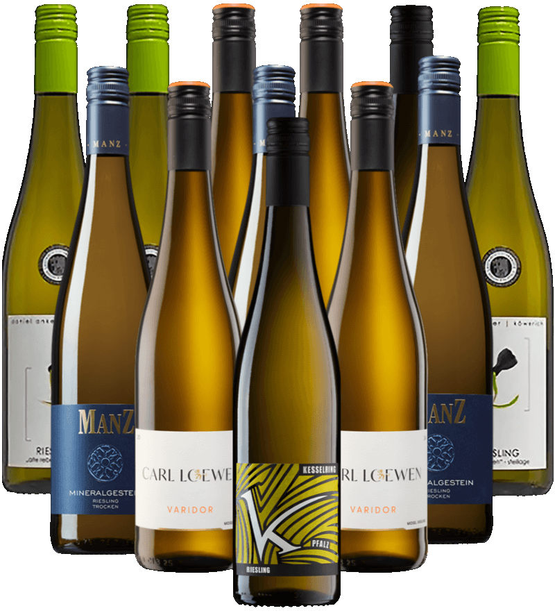 Riesling Probierpaket Weißwein Deutschland 12er Angebot