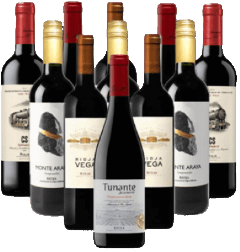 Rioja Probierpaket Tempranillo Rotweine aus Spanien 12er Angebot