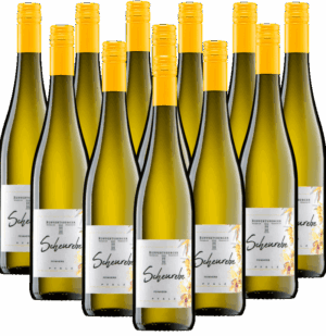 Ruppertsberger Scheurebe Kabinett feinherb 12er Weinpaket 2025 Pfalz