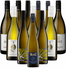 Sauvignon Blanc Probierpaket Weißwein Deutschland 12er Angebot