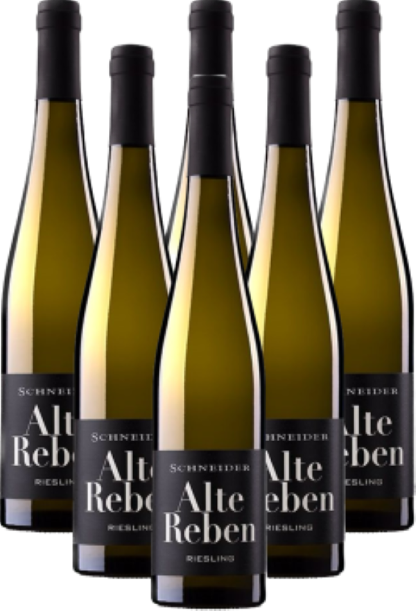 Markus Schneider Alte Reben Riesling trocken Pfalz 6er Angebot