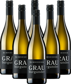 Markus Schneider Grauburgunder trocken 6er Weinpaket QbA 2025 Pfalz