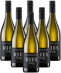 Markus Schneider Riesling trocken Pfalz 6er Angebot