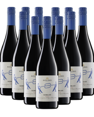 Soligo Merlot trocken 12er Weinpaket Veneto 2024 Italien
