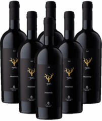 Trefilari Primitivo Salento 6er Angebot Sampietrana Apulien Italien