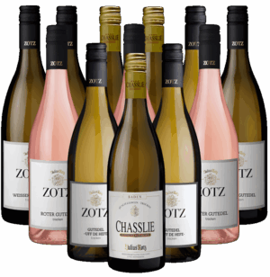 Julius Zotz Gutedel Probierpaket Weine aus Baden 12er Angebot