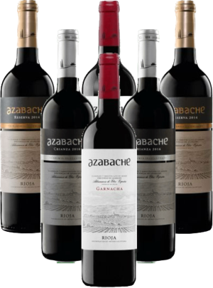 Azabache Barrique Probierpaket aus Rioja Spanien 6er Angebot