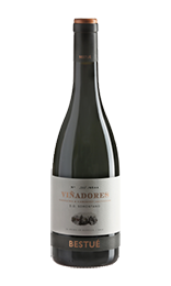 Otto Bestué Viñadores Tinto Somontano 2020 Spanien