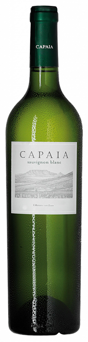 Capaia Wines Sauvignon Blanc Philadelphia Südafrika
