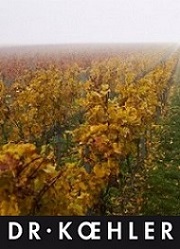 Weingut Dr. Koehler