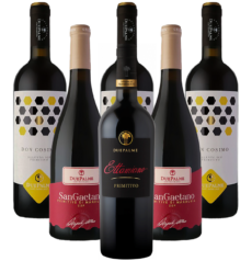 Due Palme Primitivo Probierpaket Salento di Puglia Italien 6er Angebot