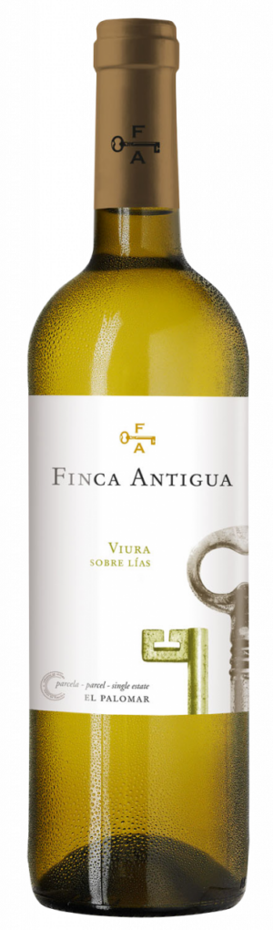 Finca Antigua Blanco Viura Sobre Lias La Mancha Spanien