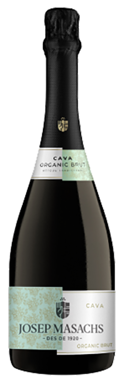 Josep Masachs Cava Brut Traditional Organico Spanien BIO