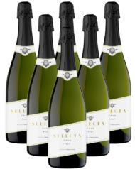 Masachs Cava Selecta Brut Spanien 6er Angebot