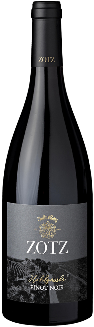 Zotz Hohlgässle Pinot Noir Rotwein Barrique QbA 2019 Baden