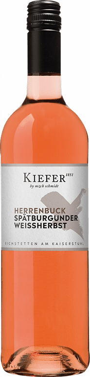 Friedrich Kiefer Herrenbuck Spätburgunder Weißherbst 2024 Baden