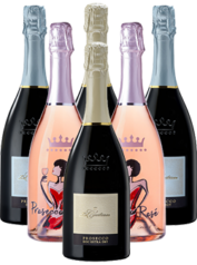 Le Contesse Prosecco Probierpaket 6er Italien