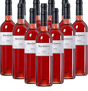 Mas Codina Rosado Penedes Spanien 12er Angebot