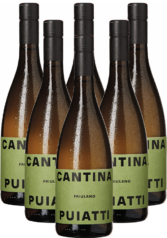 Puiatti Friulano Bianco Friaul Italien 6er Angebot