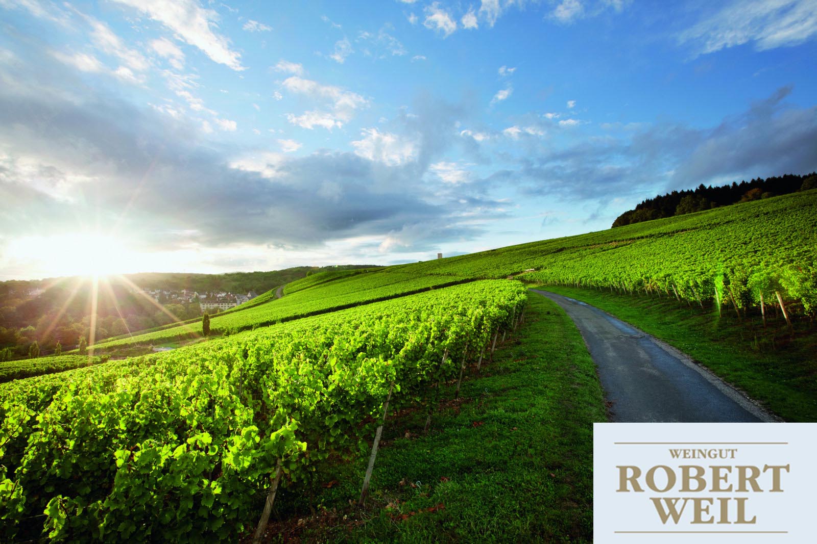 Weingut Robert Weil